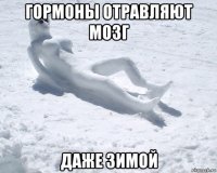 гормоны отравляют мозг даже зимой