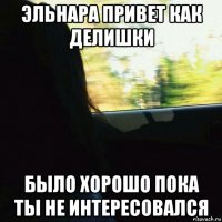эльнара привет как делишки было хорошо пока ты не интересовался
