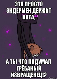 это просто эндермен держит кота, а ты что подумал грёбаный извращенец!?