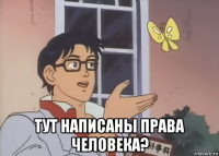  тут написаны права человека?