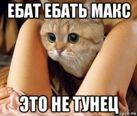 ебат ебать макс это не тунец