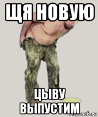 щя новую цыву выпустим