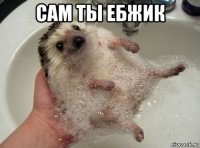 сам ты ебжик 