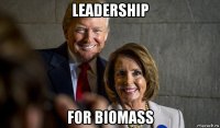 leadership for biomass