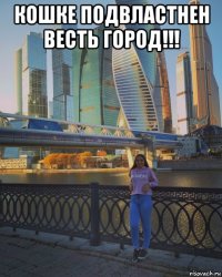 кошке подвластнен весть город!!! 