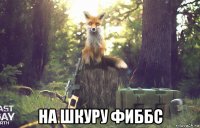  на шкуру фиббс