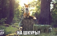  на шкуры!
