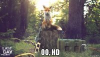  оо, hd