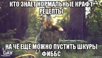 кто знает нормальные крафт рецепты на чё ещё можно пустить шкуры фиббс