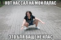 кот нассал на мой палас это бля ваще не клас