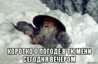  коротко о погоде в тюмени сегодня вечером