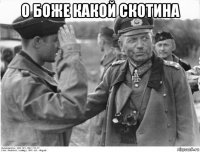о боже какой скотина 
