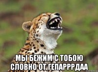  мы бежим с тобою словно от гепарррдаа