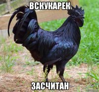 вскукарек засчитан
