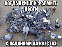 когда пришли фармить кости с пацанами на квестах