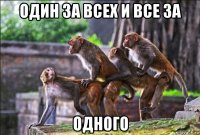 один за всех и все за одного