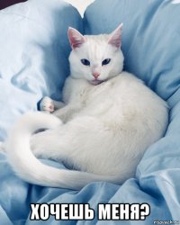  хочешь меня?