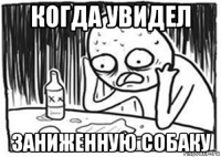 когда увидел заниженную собаку