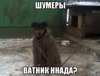шумеры ватник ннада?
