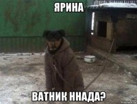 ярина ватник ннада?