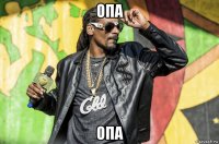 опа опа