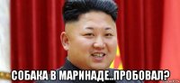  собака в маринаде..пробовал?
