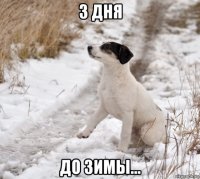 3 дня до зимы...