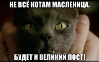 не всё котам масленица. будет и великий пост!