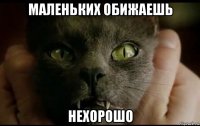 маленьких обижаешь нехорошо
