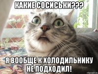 какие сосиськи??? я вообще к холодильнику не подходил!