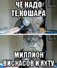 чё надо те,кошара миллион вискасов и яхту