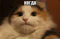 когда 