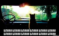  бляяя бляяя бляяя бляяя бляяя бляяя бляяя бляяя бляяя бляяя бляяя бляяя