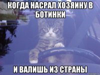 когда насрал хозяину в ботинки и валишь из страны