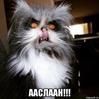  ааслаан!!!