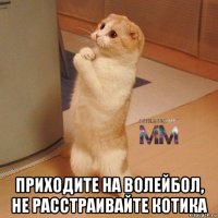 приходите на волейбол, не расстраивайте котика