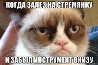 когда залез на стремянку и забыл инструмент внизу