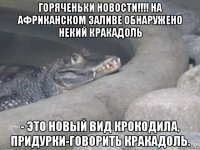 горяченьки новости!!!! на африканском заливе обнаружено некий кракадоль - это новый вид крокодила, придурки-говорить кракадоль.