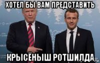хотел бы вам представить крысёныш ротшилда