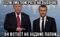 если ему поиграть на дудочке он встаёт на задние лапки
