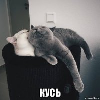  кусь