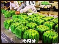 квад бузы