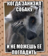 когда занизил собаку и не можешь её погладить