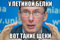у петиной белки вот такие щеки