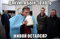 дякую, а бык-то хоть живой остался?