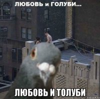  любовь и толуби