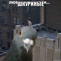 шкуриные 