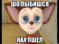 шо лыбишся нах пшел