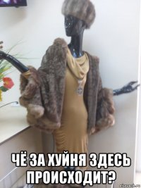  чё за хуйня здесь происходит?