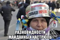  разновидности майданных кастрюль